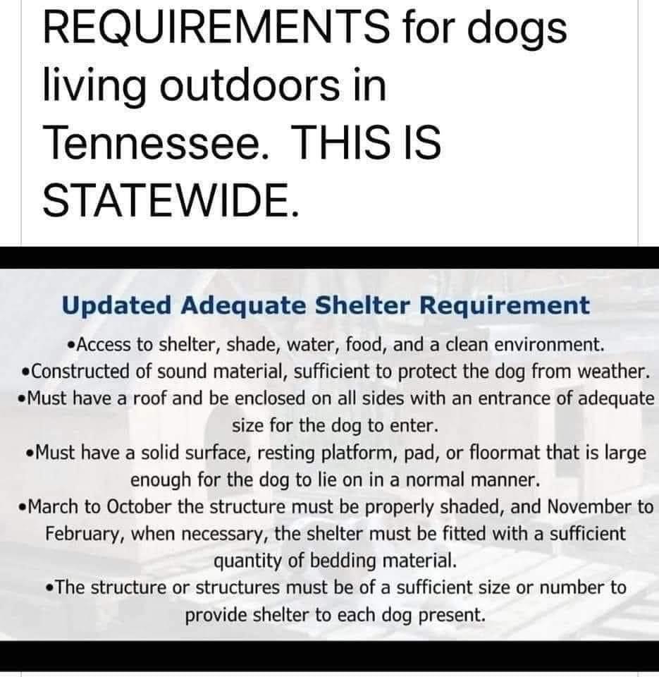 shelterrequirements